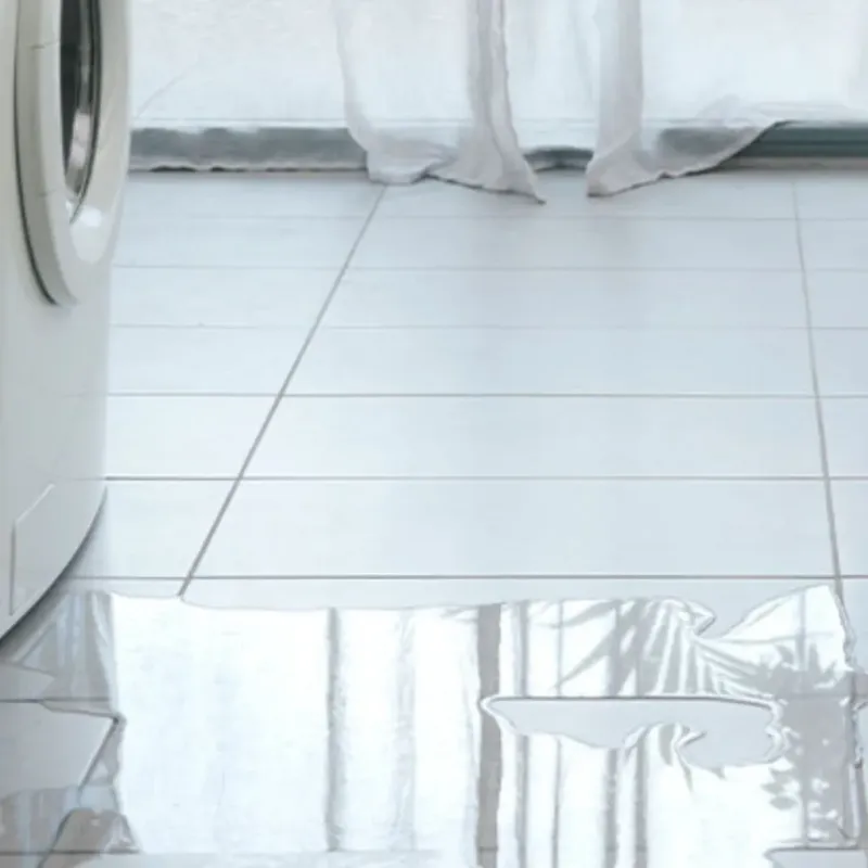 Appliance Leak Cleanup in Luxora, AR