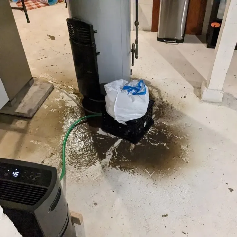 Sewage Backup Cleanup Service in Luxora, AR